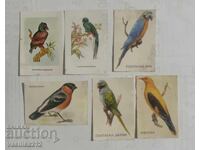 Lot calendaruțe-păsări