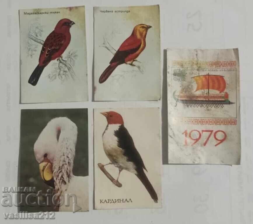 Lot calendaruțe-păsări Lot calendaruțe-păsări