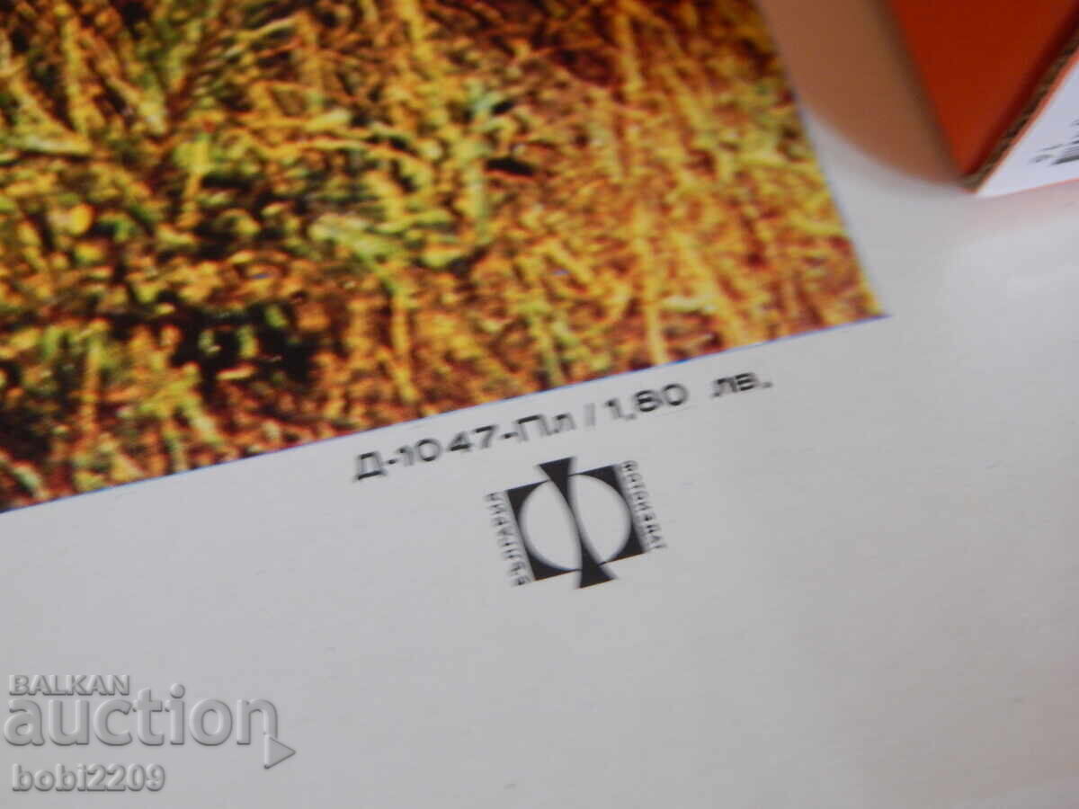 Afis vechi Moara Nessebar Sunny Beach Tablou Soc 50x70 cm cu preț € 7.66 | 14.98 BGN