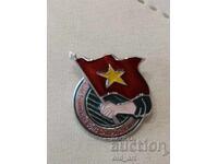 Badge - Communist Youth Union Ho Chi Minh, Vietnam