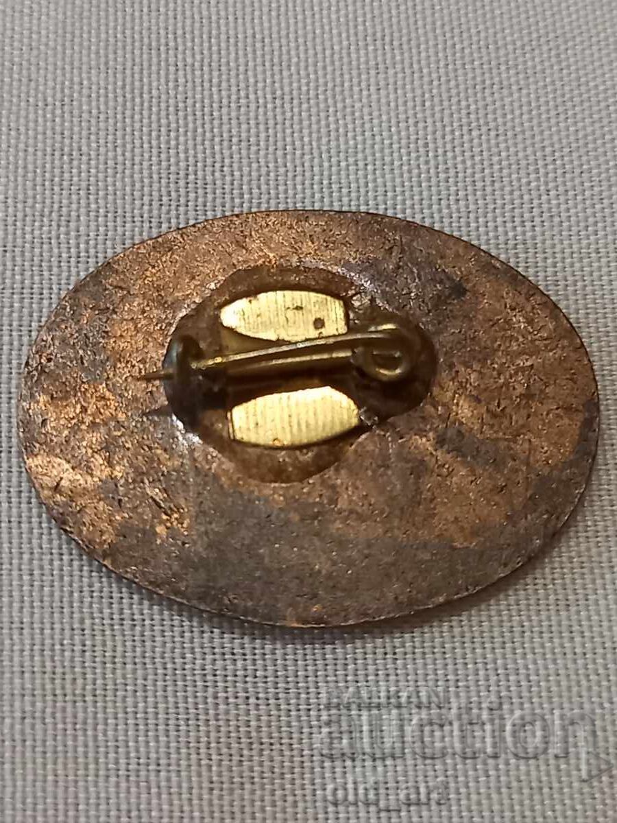 Insigna - Terra Antica Balcanica cu preț € 2.00 | 3.91 BGN