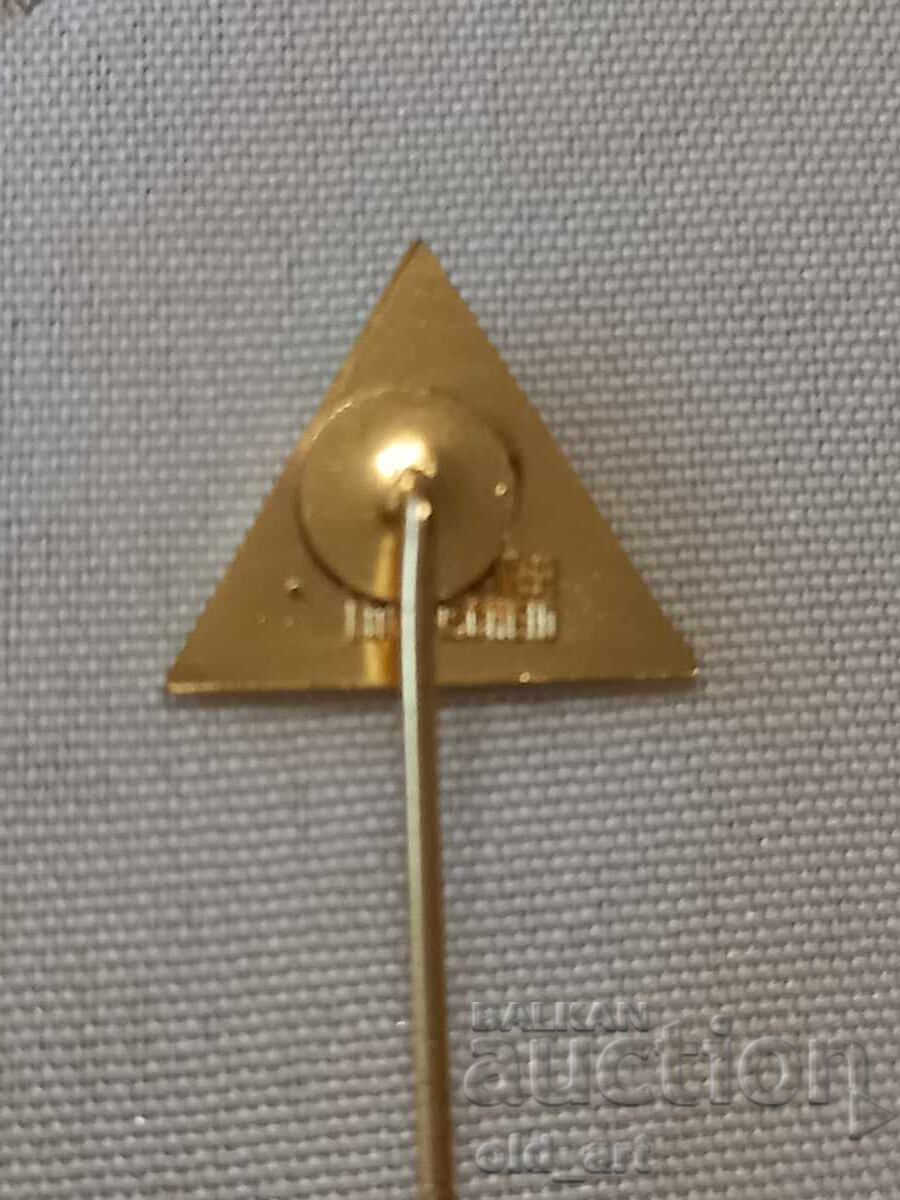 Auction  Badge - Vidia