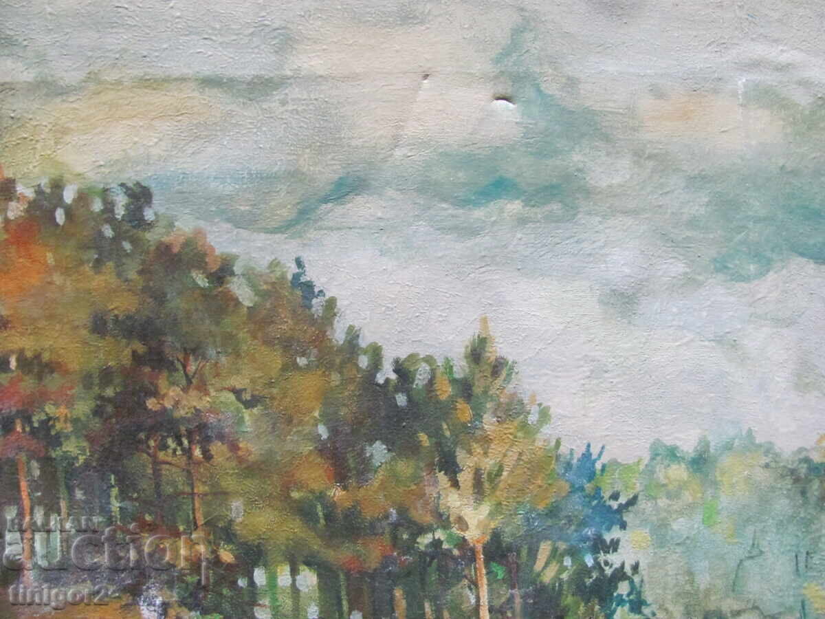 Beautiful Oil Painting, canvas, signature, 50x40cm with price 65.00 BGN | € 33.23