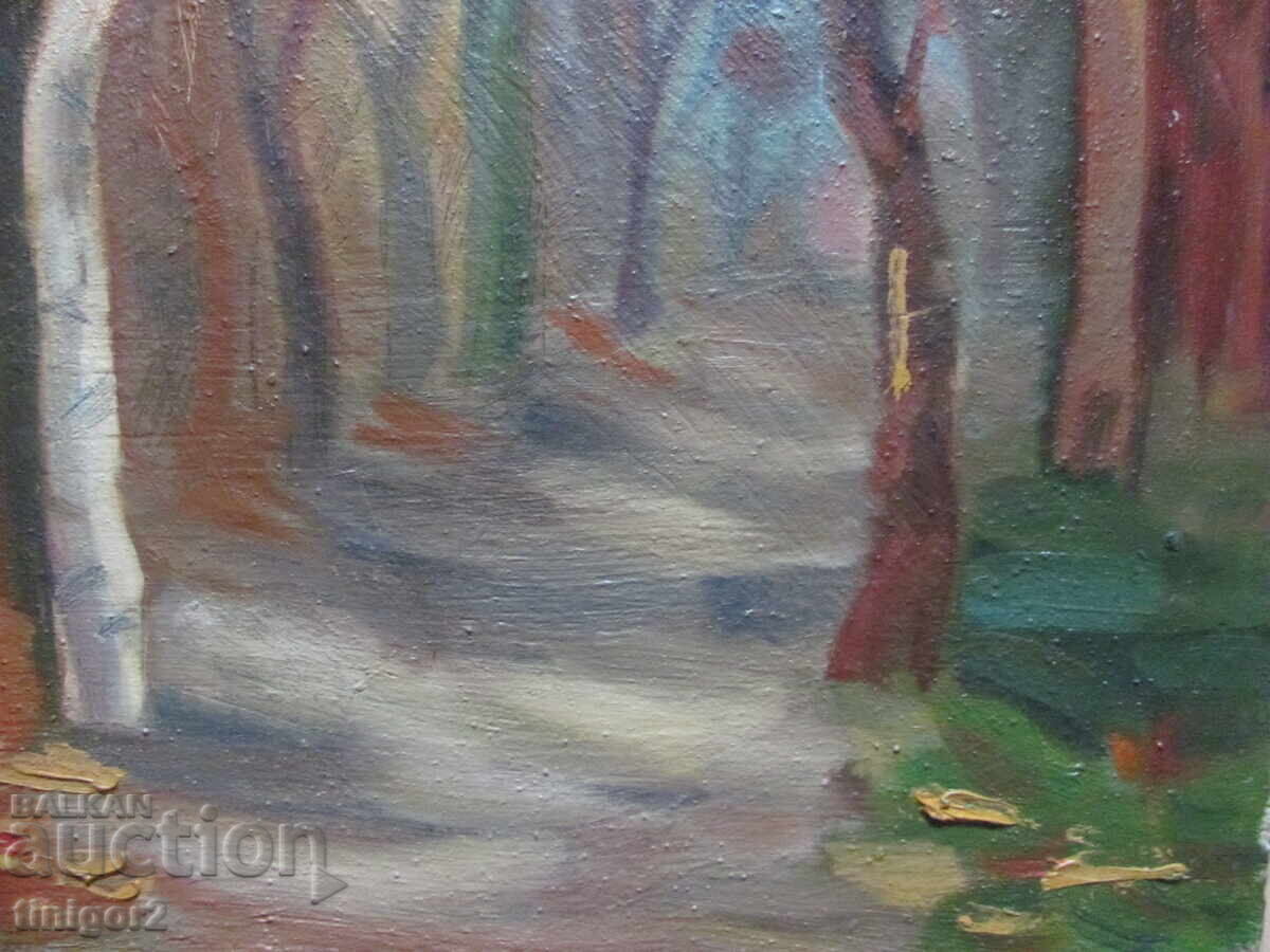 Доставка на Красива Картина масло, платно ,художник Силвия Радева