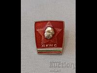 Badge - Komsomol Badge