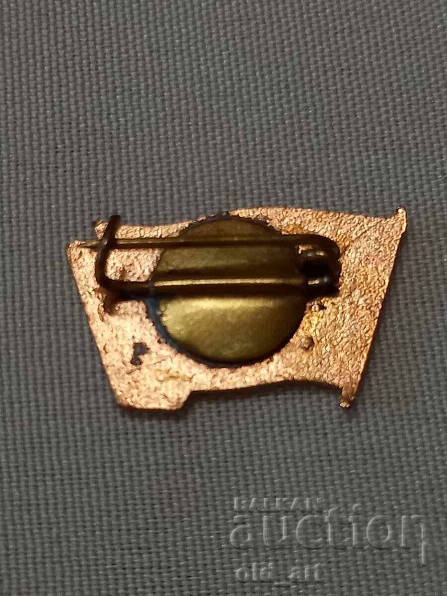 Badge - Excellent Squad Member with price 3.00 BGN | € 1.53