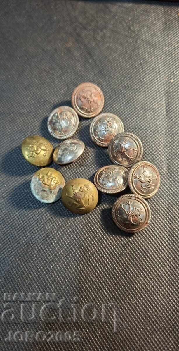 Regatul Bulgariei 11 buc nasturi