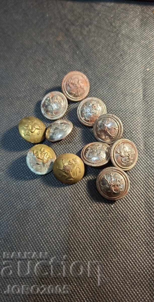 Regatul Bulgariei 11 buc nasturi Regatul Bulgariei 11 buc nasturi