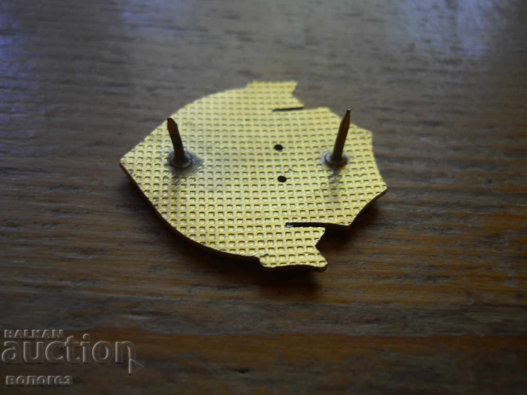 Insigna „Statul Major al BA 1890” cu preț 10.00 BGN | € 5.11