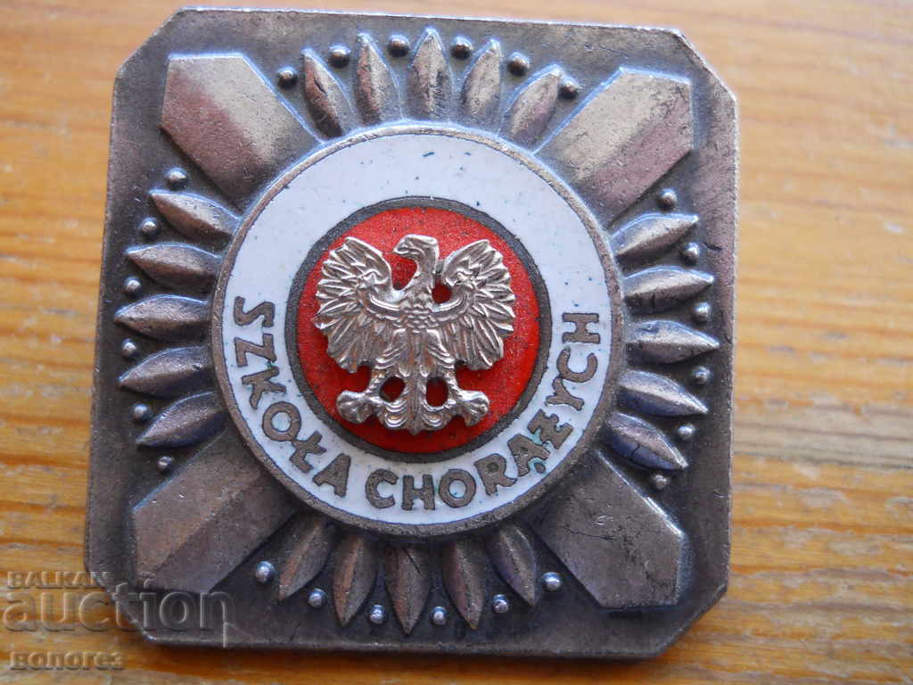 Polish military badge (enamel, screw back)
