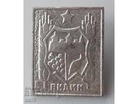 Значка: Герб на град Видин (сребърна).
