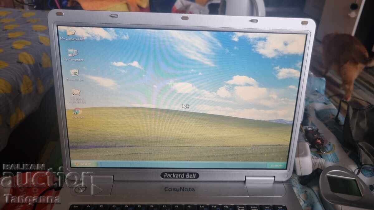 Auction  Retro laptop
