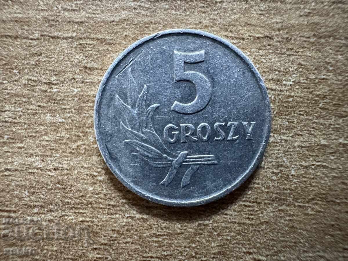 Polonia - 5 groși (1962)