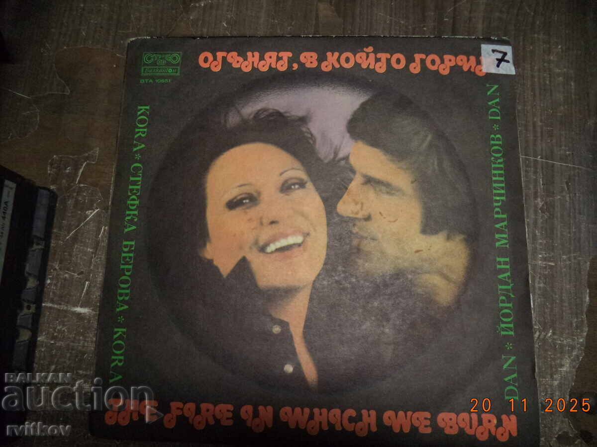 Licitație Colecție de 44 de discuri de vinil vechi