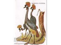 Talon de bomboane bomboane pasăre Iugoslavia