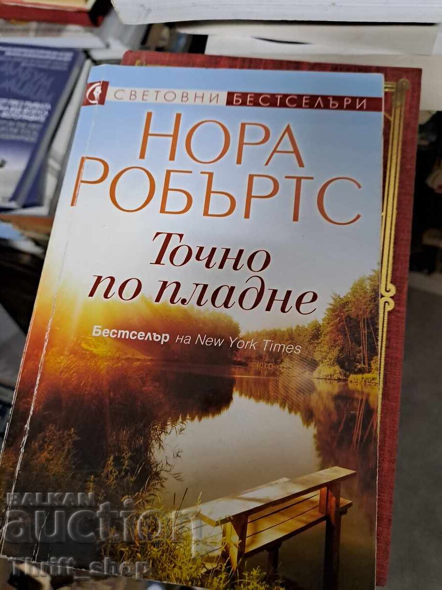 Exactly at Noon by Nora Roberts