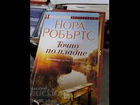 Exactly at Noon by Nora Roberts