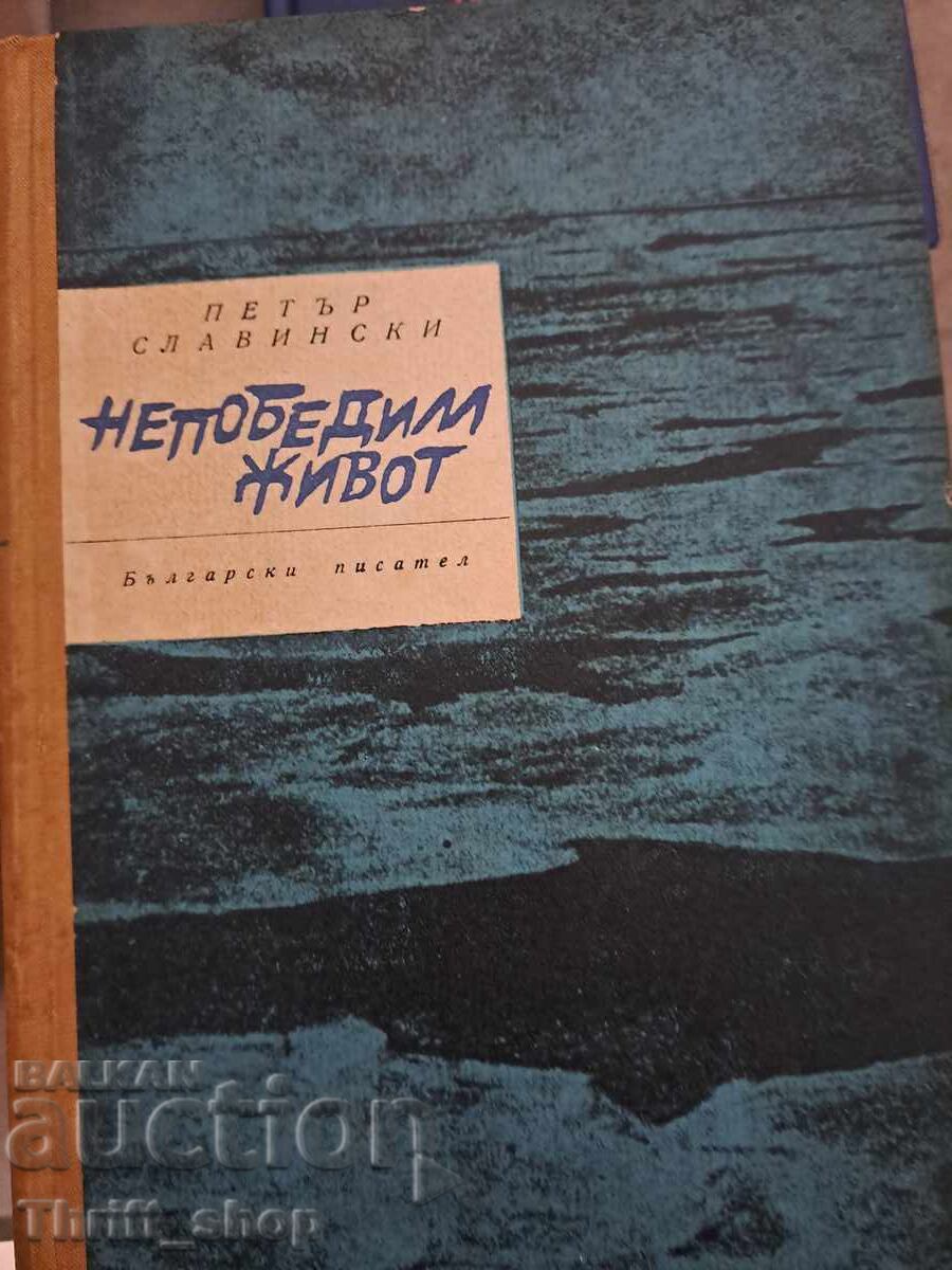 Invincible Life by Petar Slavinski