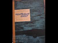 Invincible Life by Petar Slavinski