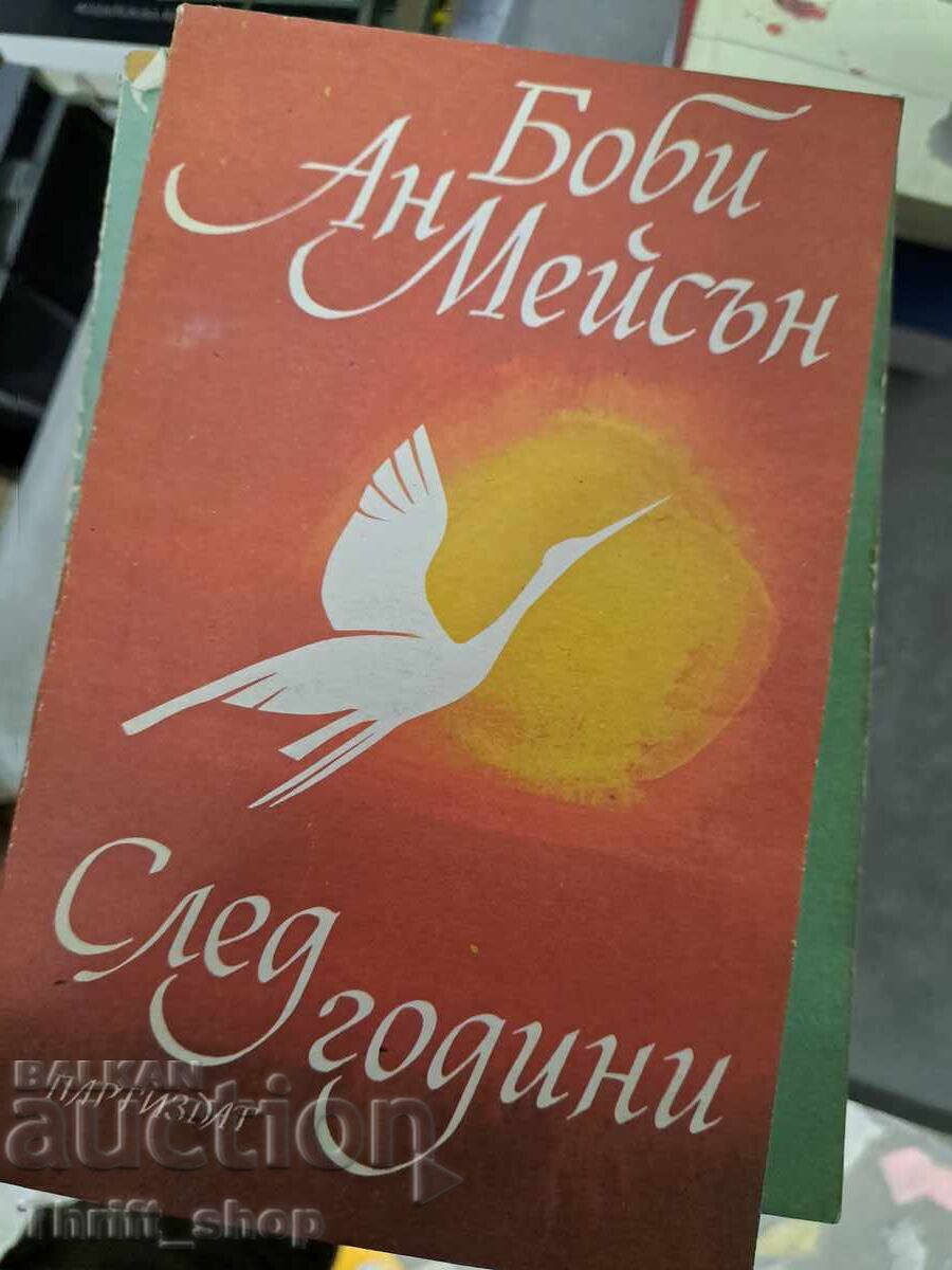 След години Боби Ан Мейсън