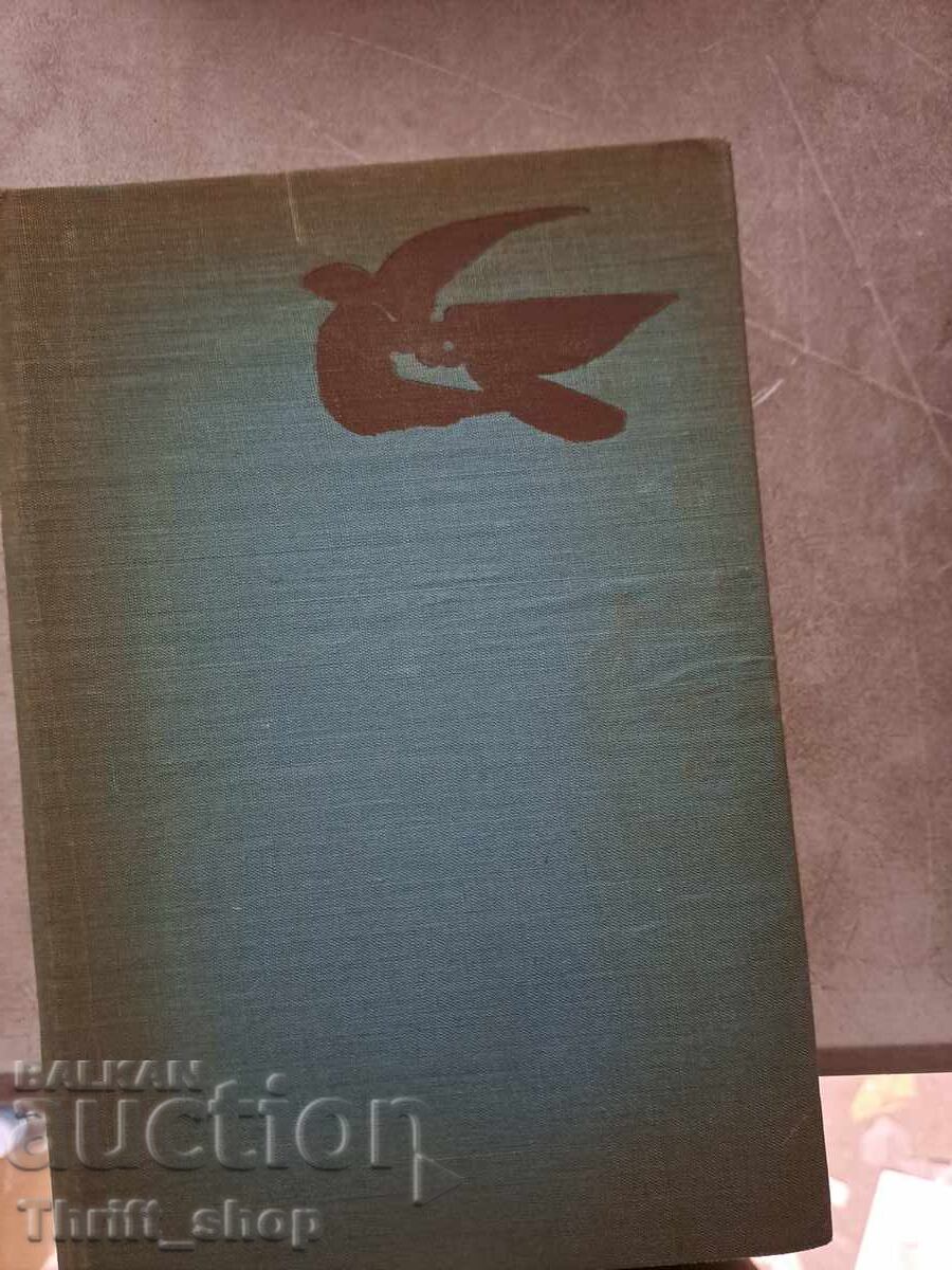 Following the Blue Bird Emil Manov