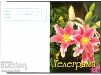 Bulgaria - Telegramă de lux "de primăvară" model 2011