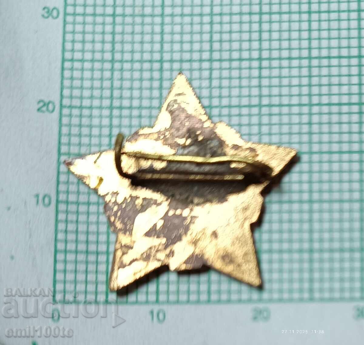 Σήμα - ΒΠΣ Βουλγαρικές Επαγγελματικές Ενώσεις - 5