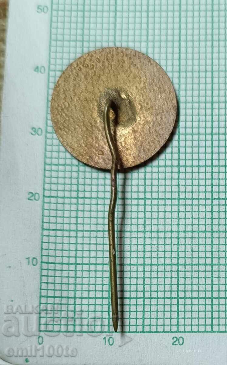 Badge - Ship Chrysler Hope - 5