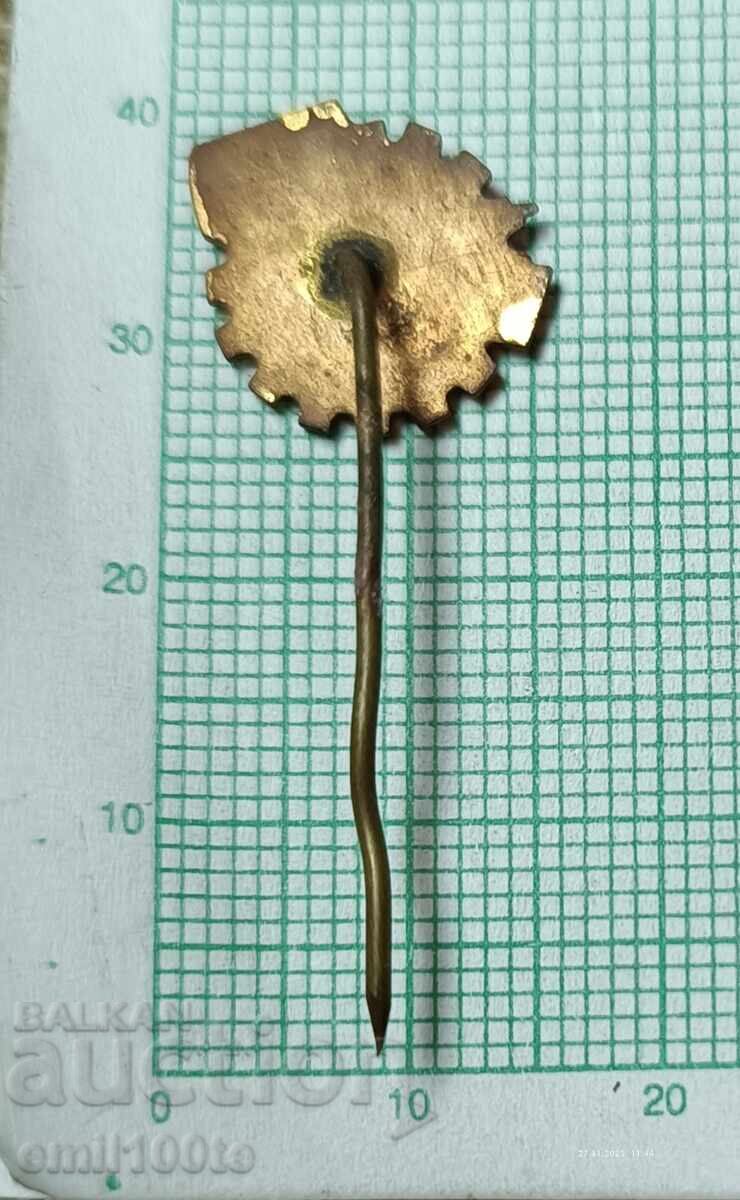 Delivery of Badge - CNIITMASH Sofia