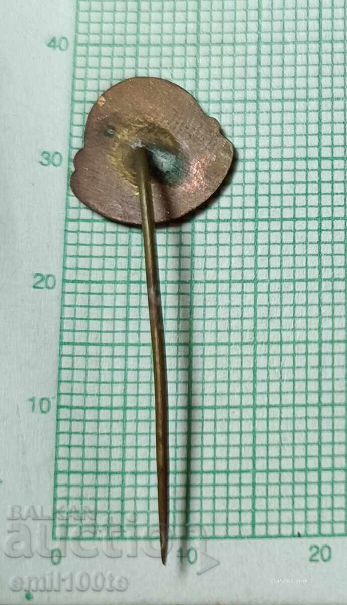 Delivery of Badge - Esperanto