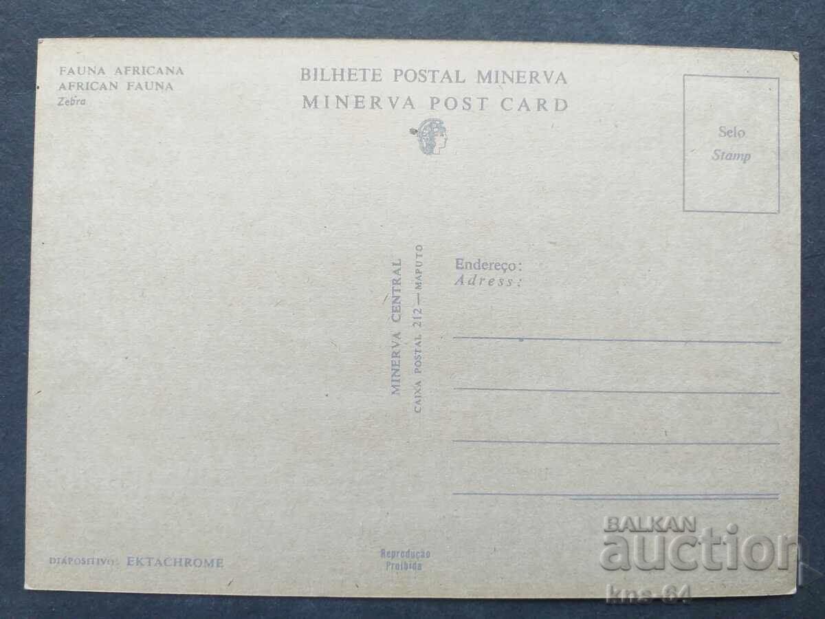 Αφρική με τιμή 0.65 BGN | € 0.33 Αφρική με τιμή 0.65 BGN | € 0.33