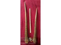 Coarne de antilopă Oryx