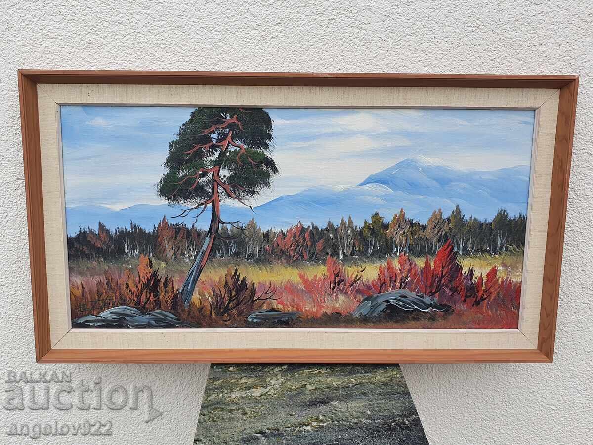 Авторска картина с маслени бои върху платно!!! с цена 0.01 лв. | € 0.01