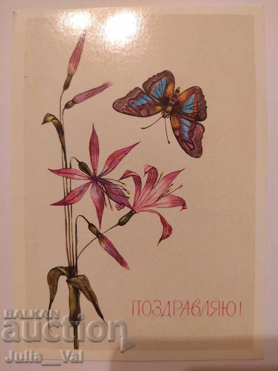 ΕΣΣΔ - Συγχαρητήρια! - καθαρή καρτ ποστάλ. Ζωγρ. Ν. Σαβέλιεβα