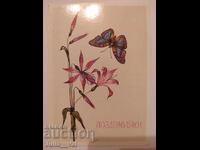 USSR - Congratulations! - Clean postcard. Artist N. Savelyeva