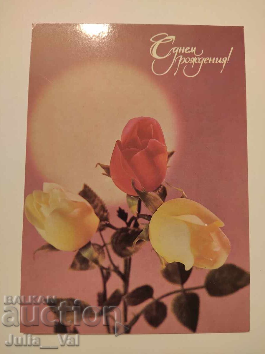 USSR - Happy Birthday! - Blank Postcard Photo: Gidirimsky