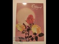 USSR - Happy Birthday! - Blank Postcard Photo: Gidirimsky