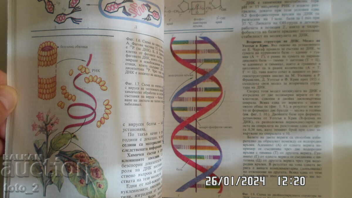 Auction  BIOLOGY TEXTBOOK FOR GRADE 11