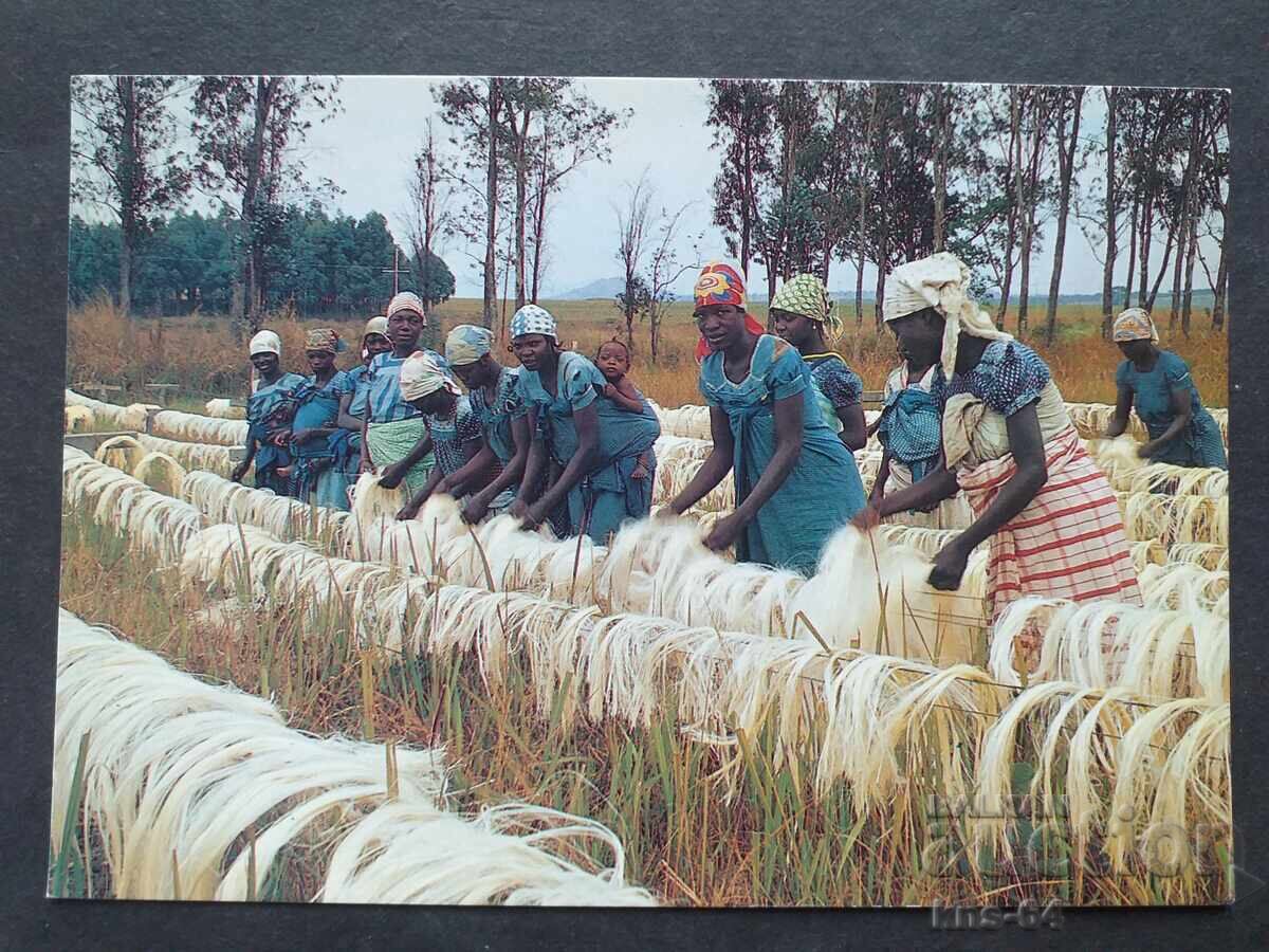 Ανγκόλα Ανγκόλα