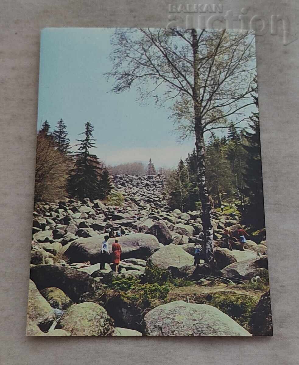 ВИТОША МОРЕНИТЕ П.К. 1975 г. ВИТОША МОРЕНИТЕ П.К. 1975 г.