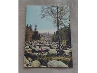 ВИТОША МОРЕНИТЕ П.К. 1975 г.