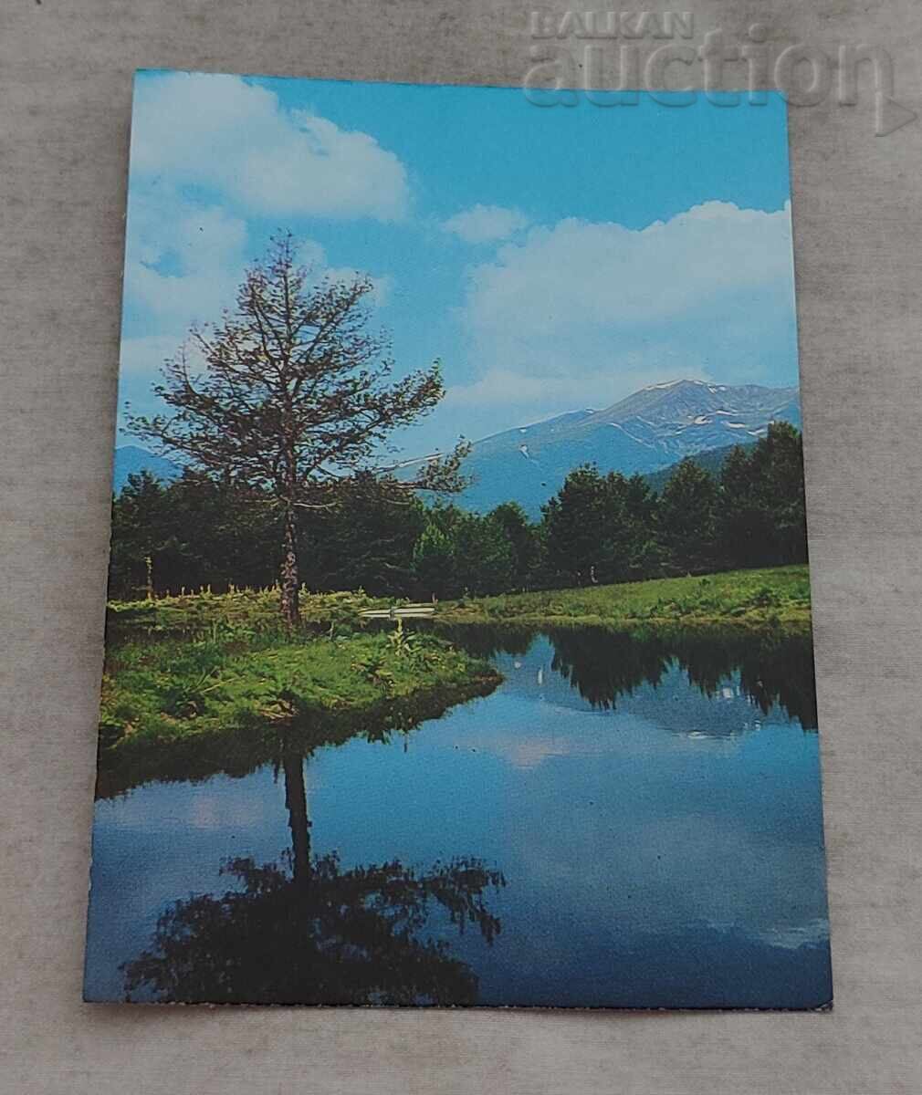 RILA NEAR "SEMKOVO" CHALET P.K. 1981 RILA NEAR "SEMKOVO" CHALET P.K. 1981