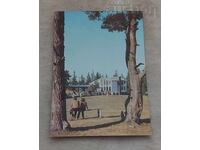 ΡΟΔΟΠΗ ΧΙΖΑ "ΠΑΣΑΛΙΤΣΑ" Π.Κ. 1974 g