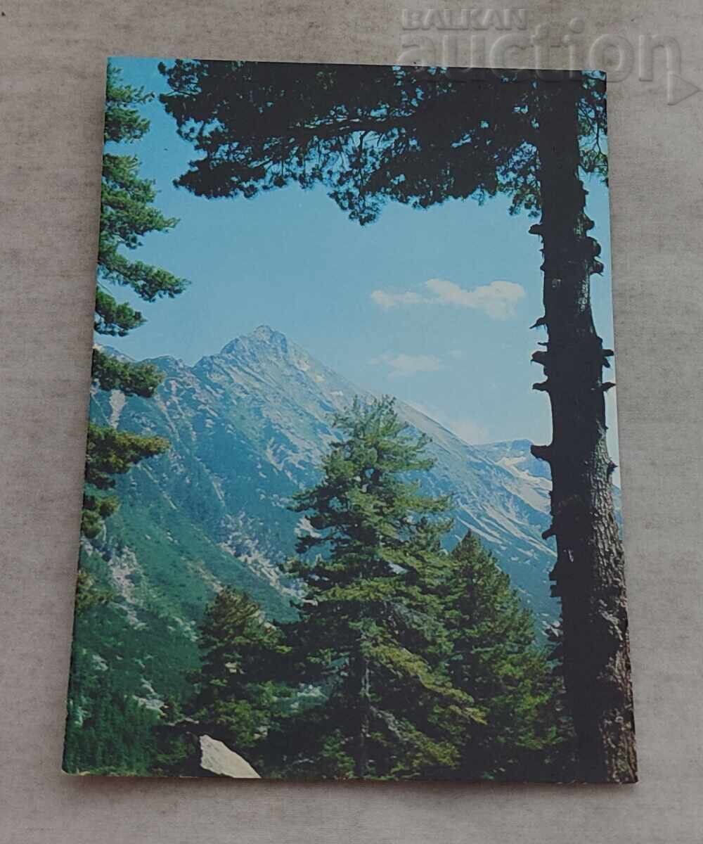 Pirin Peak Gazey P.C. 1970