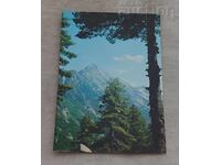 Pirin Peak Gazey P.C. 1970