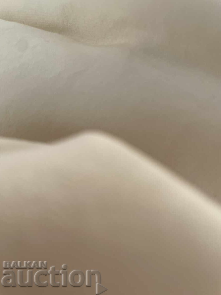 Φυσικό μετάξι - 115/90 εκ. bg με τιμή 29.95 BGN | € 15.31 Φυσικό μετάξι - 115/90 εκ. bg με τιμή 29.95 BGN | € 15.31