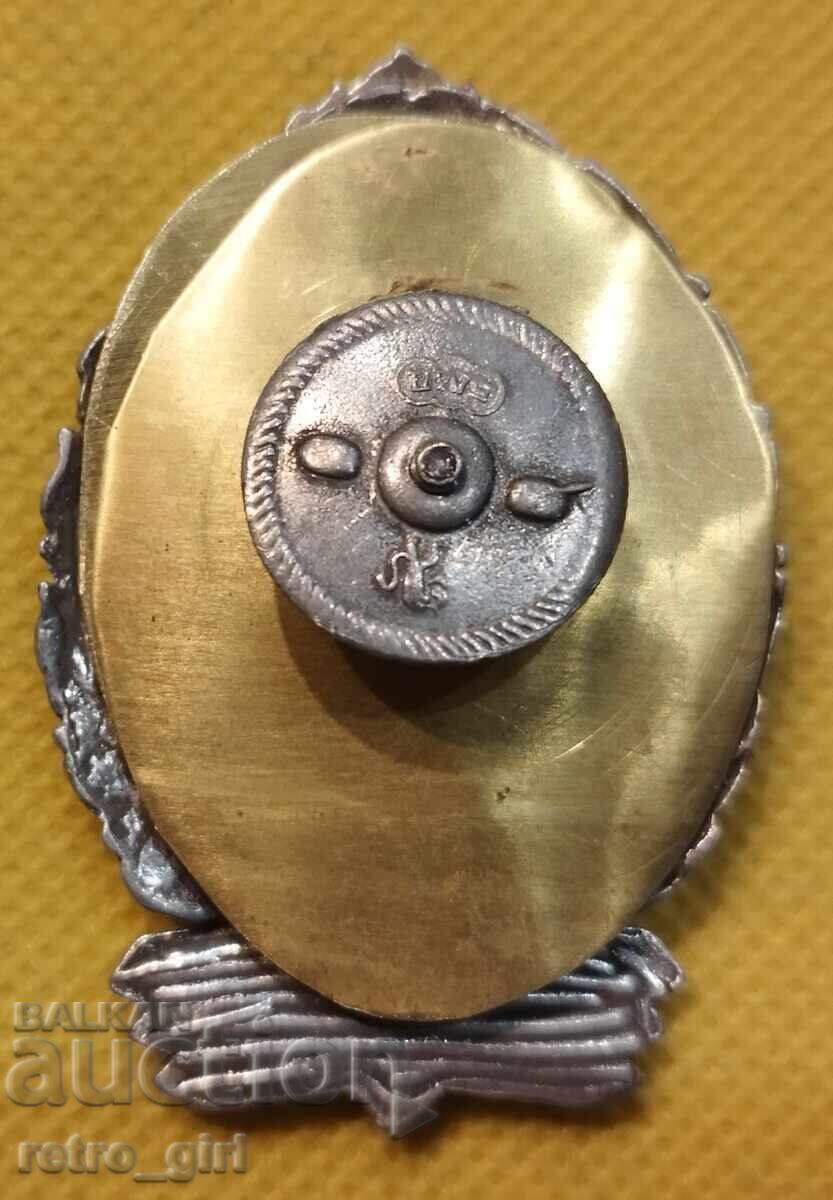 Emblemă de pilot militar fără cifră RB cu preț 114.90 BGN | € 58.75