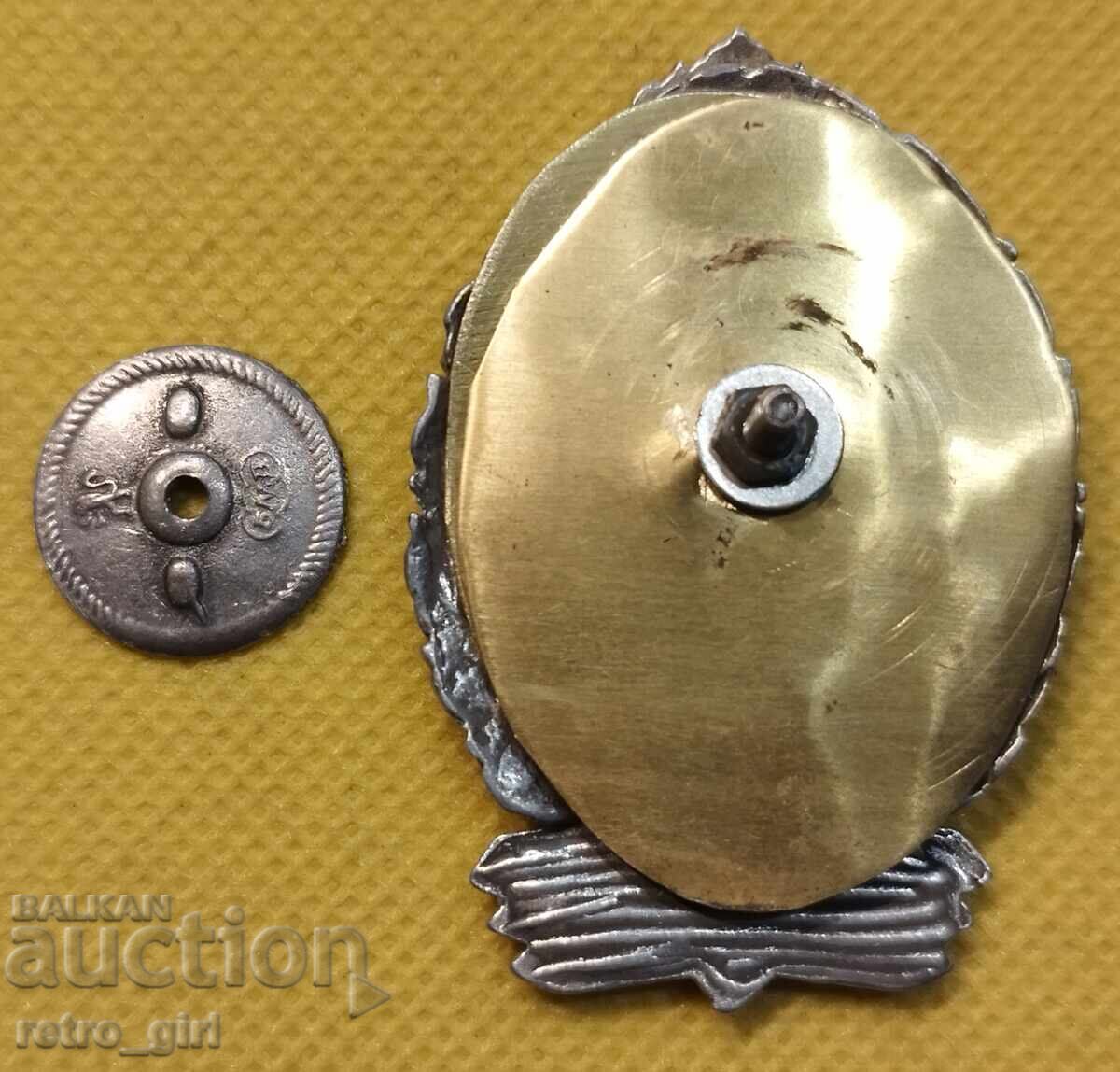 Licitație Emblemă de pilot militar fără cifră RB