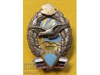Military pilot badge without the number RB