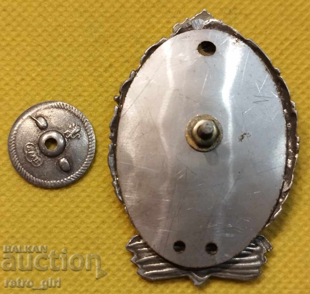 Auction  Military pilot badge without the number RB